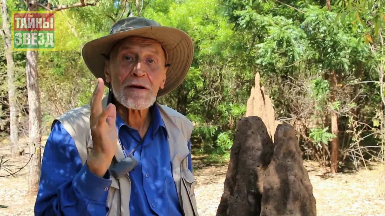 Николай Дроздов