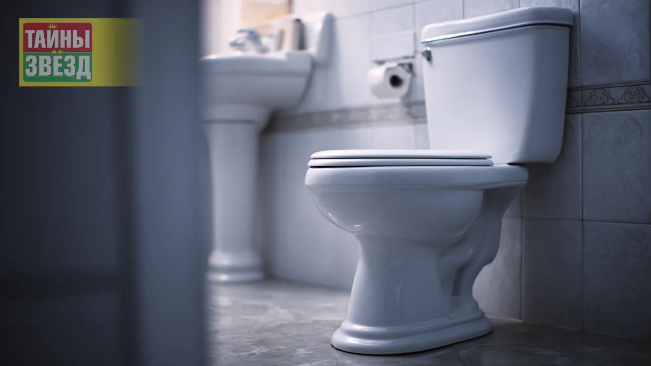 Унитаз, арт