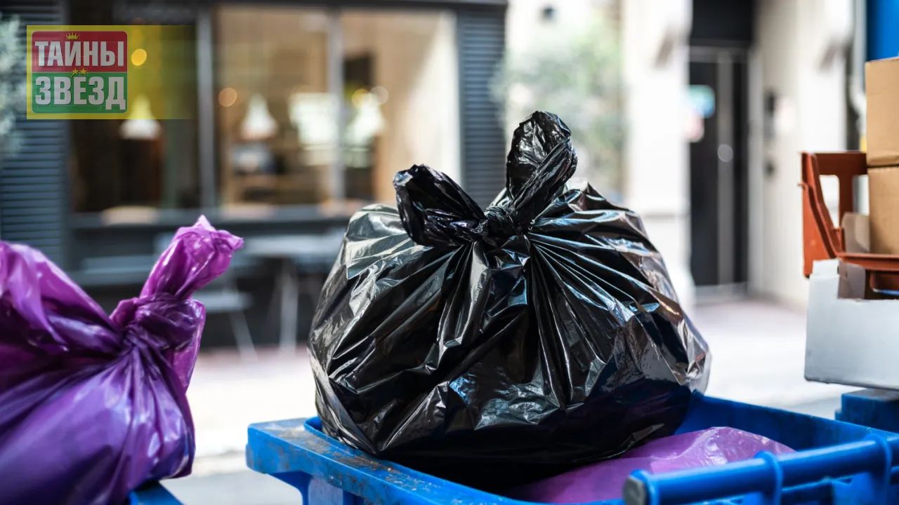 Мусорное ведро