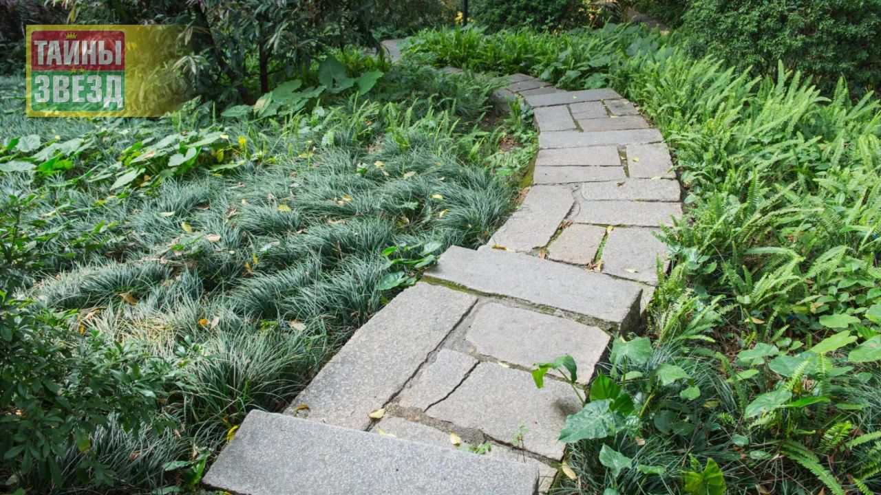 Садовая дорожка
