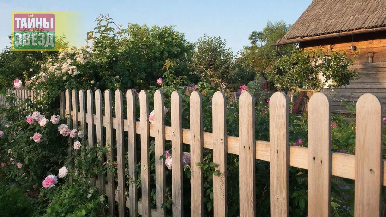 Забор на даче