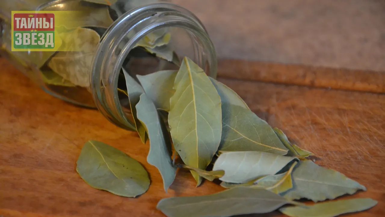 Лавровый лист