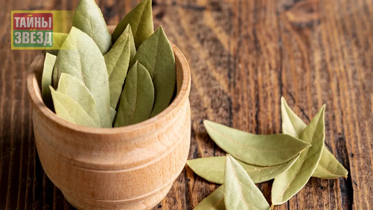 Лавровый лист