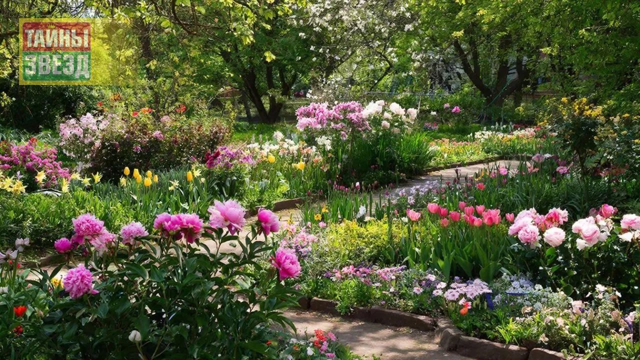 Цветы в саду