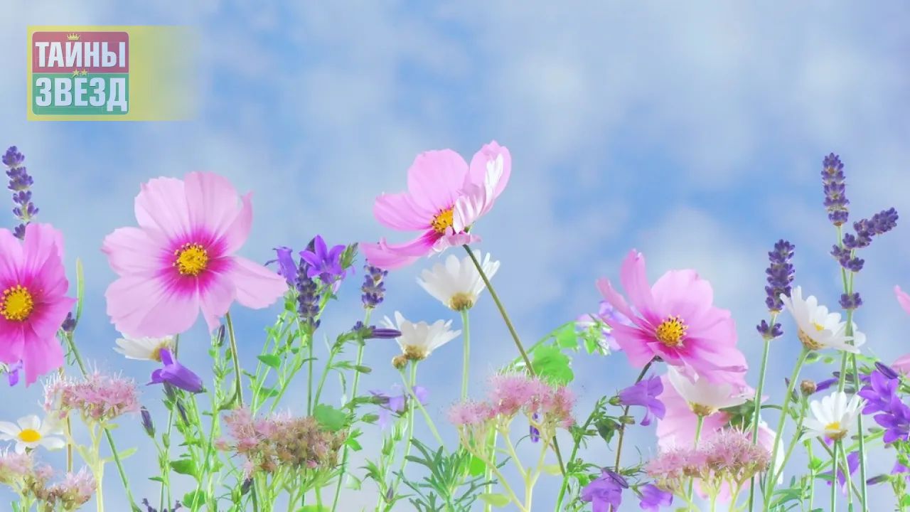 Растения в саду