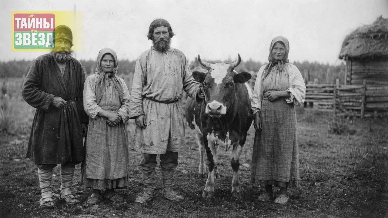 Корова в крестьянской семье