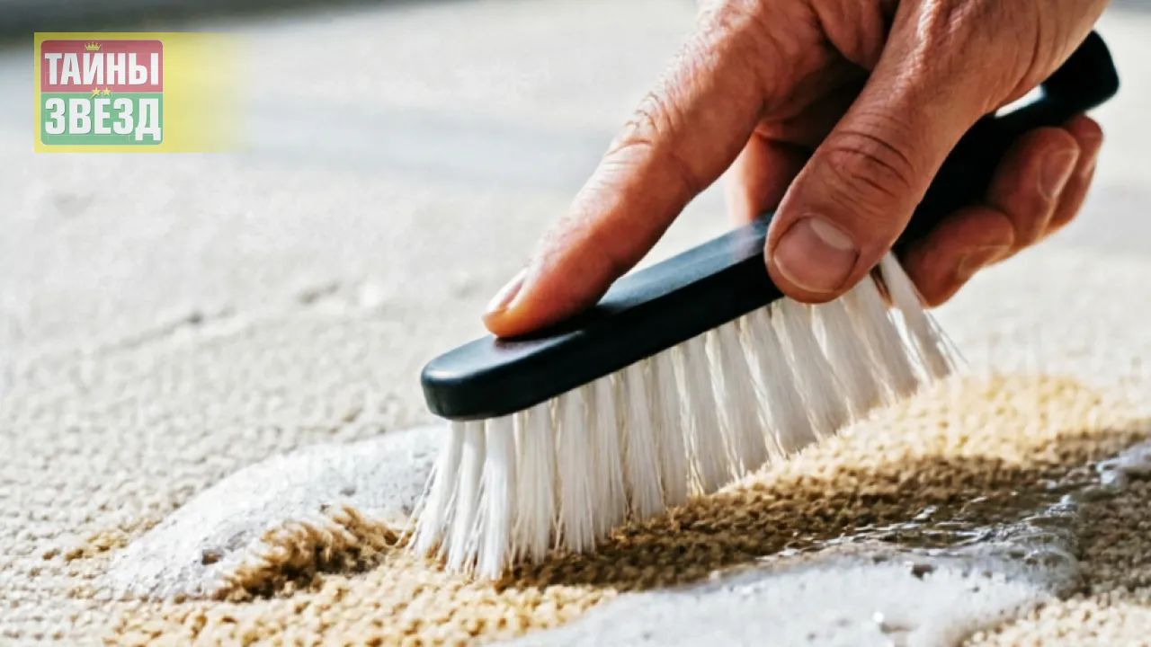 Чистка ковра