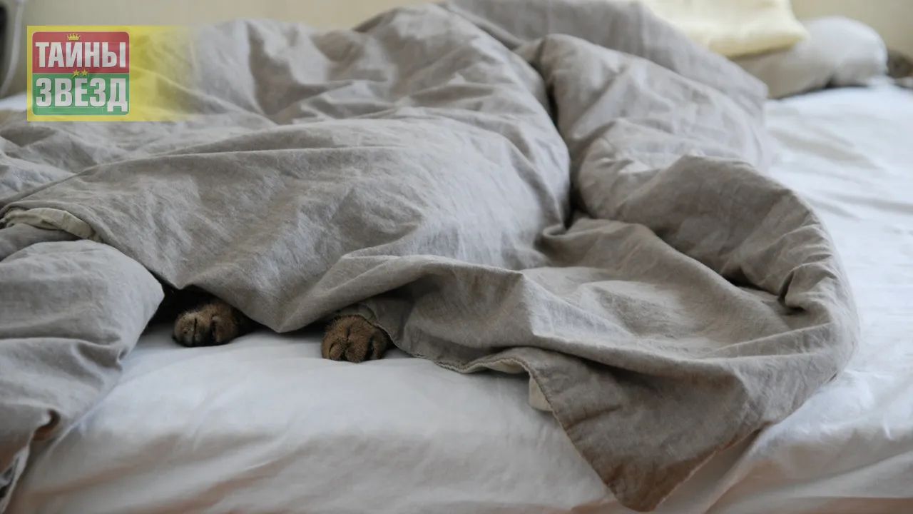 Постельное белье