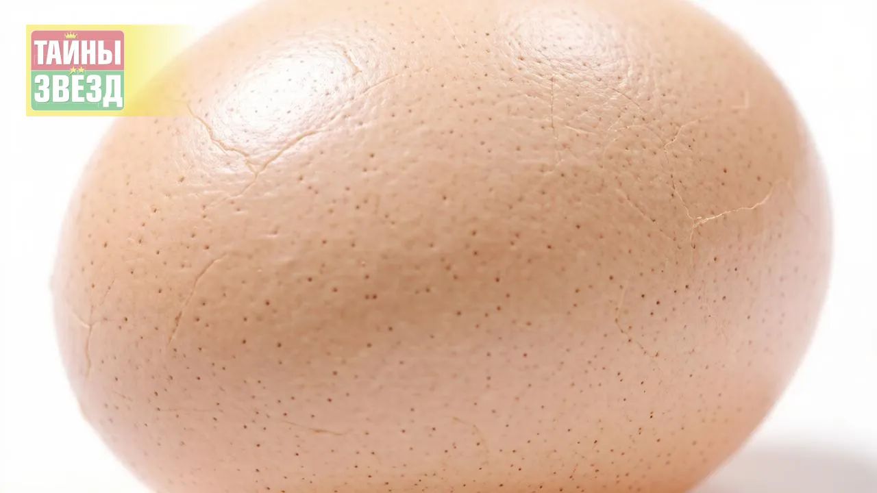 Яйцо