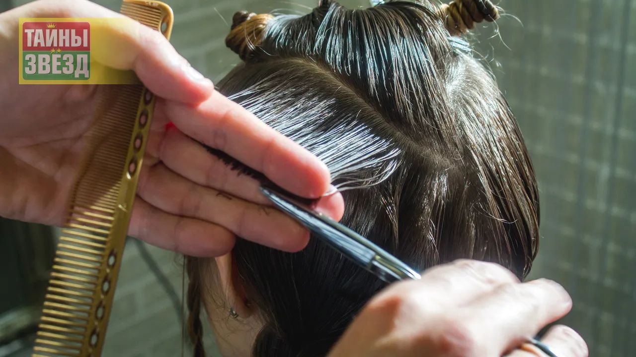 В парикмахерской