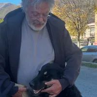 Андрей Ургант с новой собакой