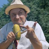 Георгий Вицин