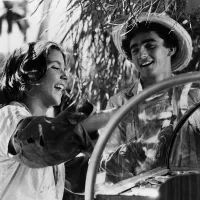 Кадр из фильма