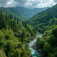 Природа Абхазии, арт