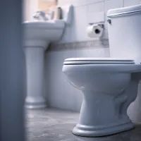 Унитаз, арт