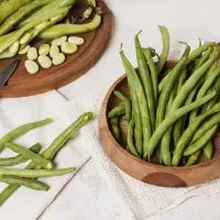 Стручковая фасоль