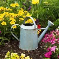 Старая лейка в саду