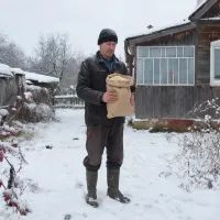 Дача, крупа, дачник