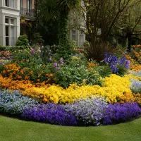 Цветы в саду