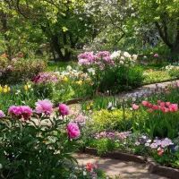 Цветы в саду