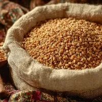 Гречневая крупа