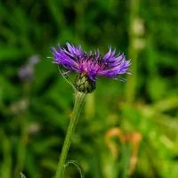 Народные приметы