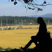 Одинокая девушка