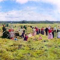 Крестьяне на сенокосе