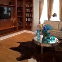 Дом Ларисы Долиной