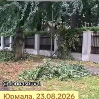 Соцсети
